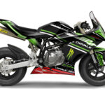 graphics kit for Ohvale GP0 / GP2/ EVO